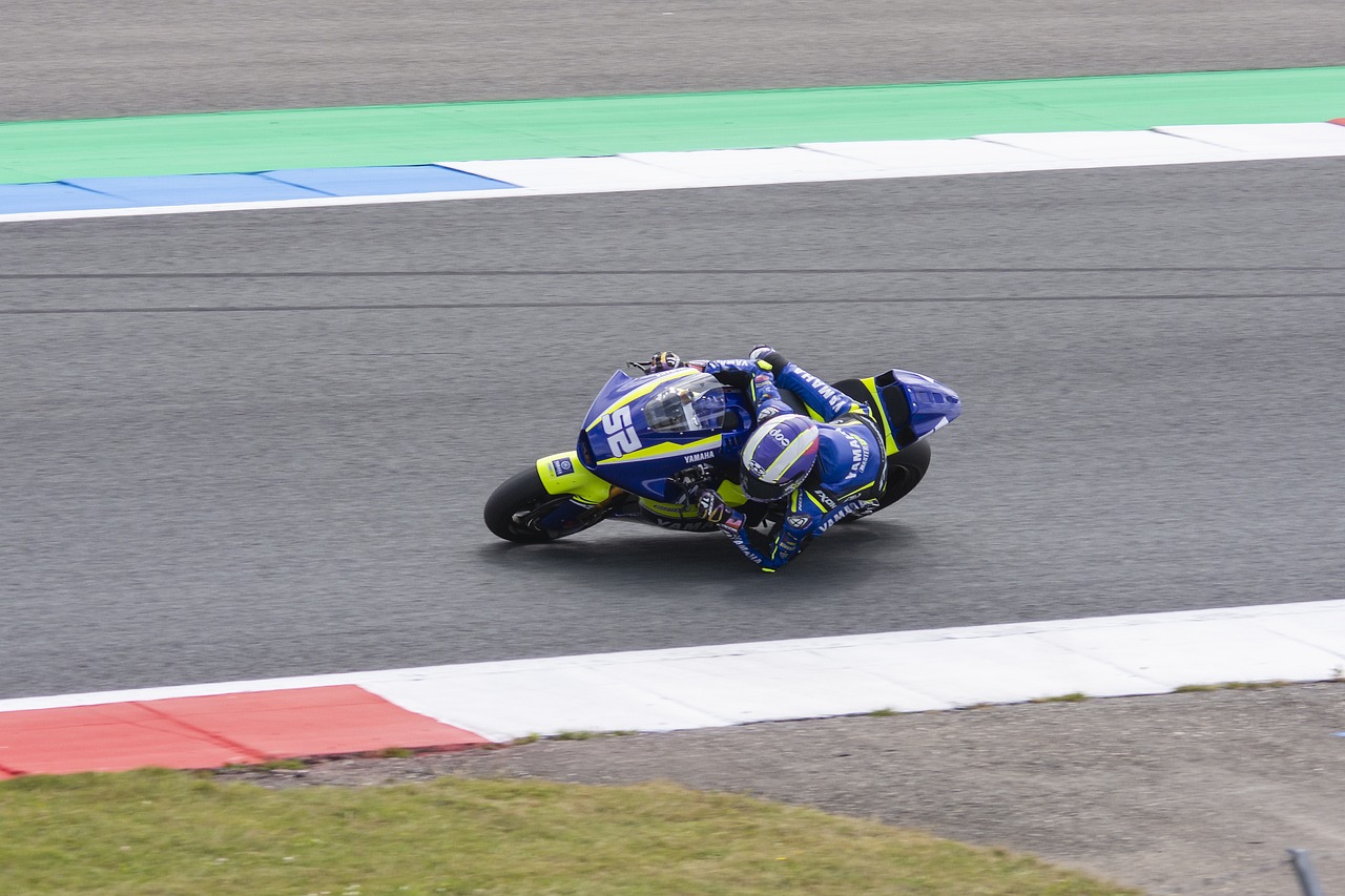 顶尖嗅觉 顶尖嗅觉