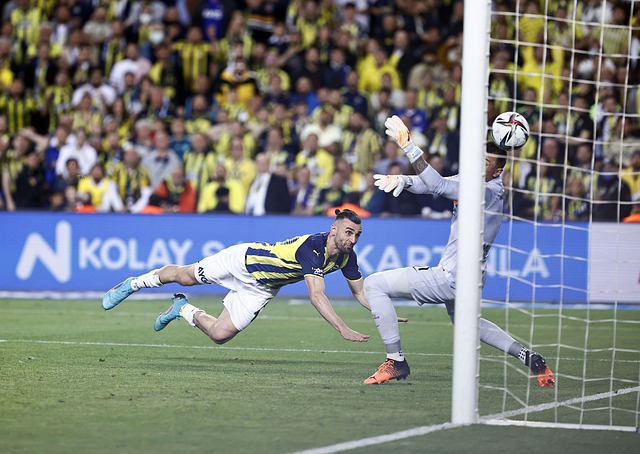 灰熊能否尽 灰熊能否尽