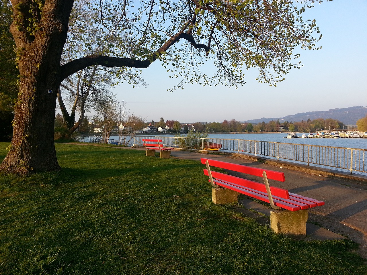 会文化现象 会文化现象