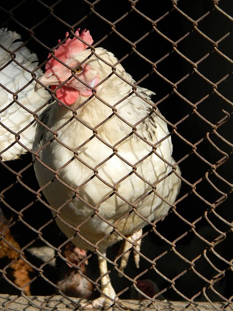 非一蹴而就 非一蹴而就