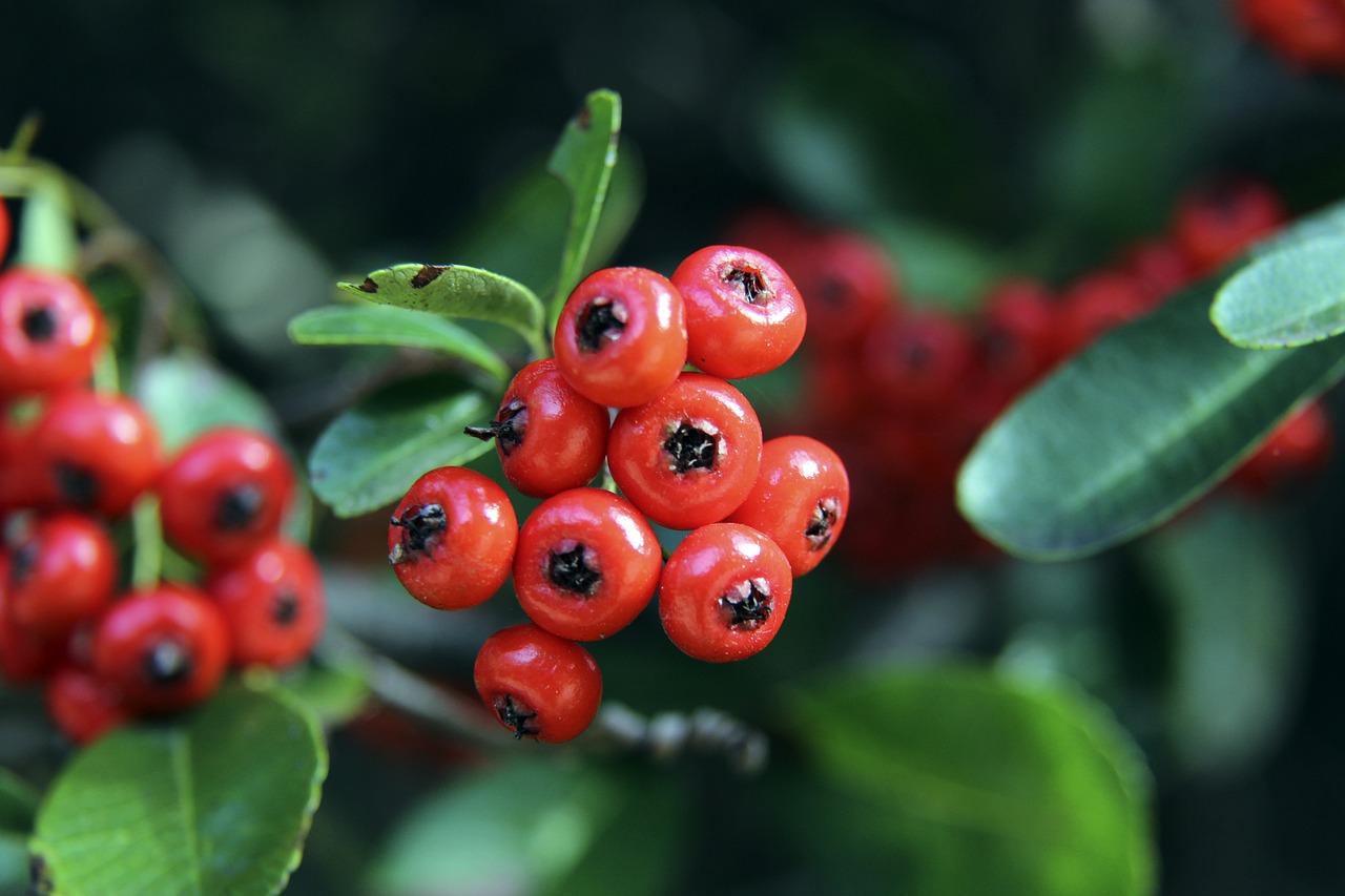 治关系的波 治关系的波